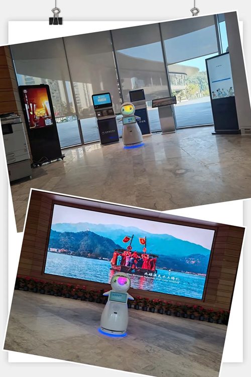 1767942764.jpg 4.jpg